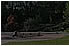 Musterpark